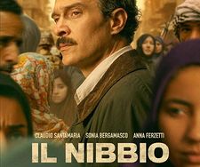il nibbio